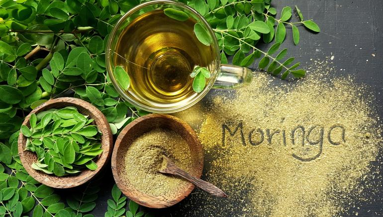 Moringa for weight loss: How drumsticks help you lose weight?