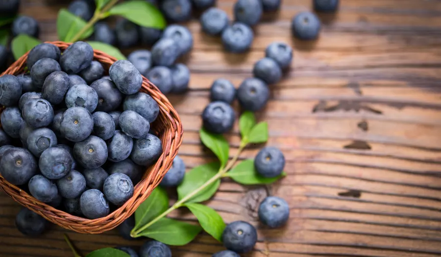 Blueberries Blueberries