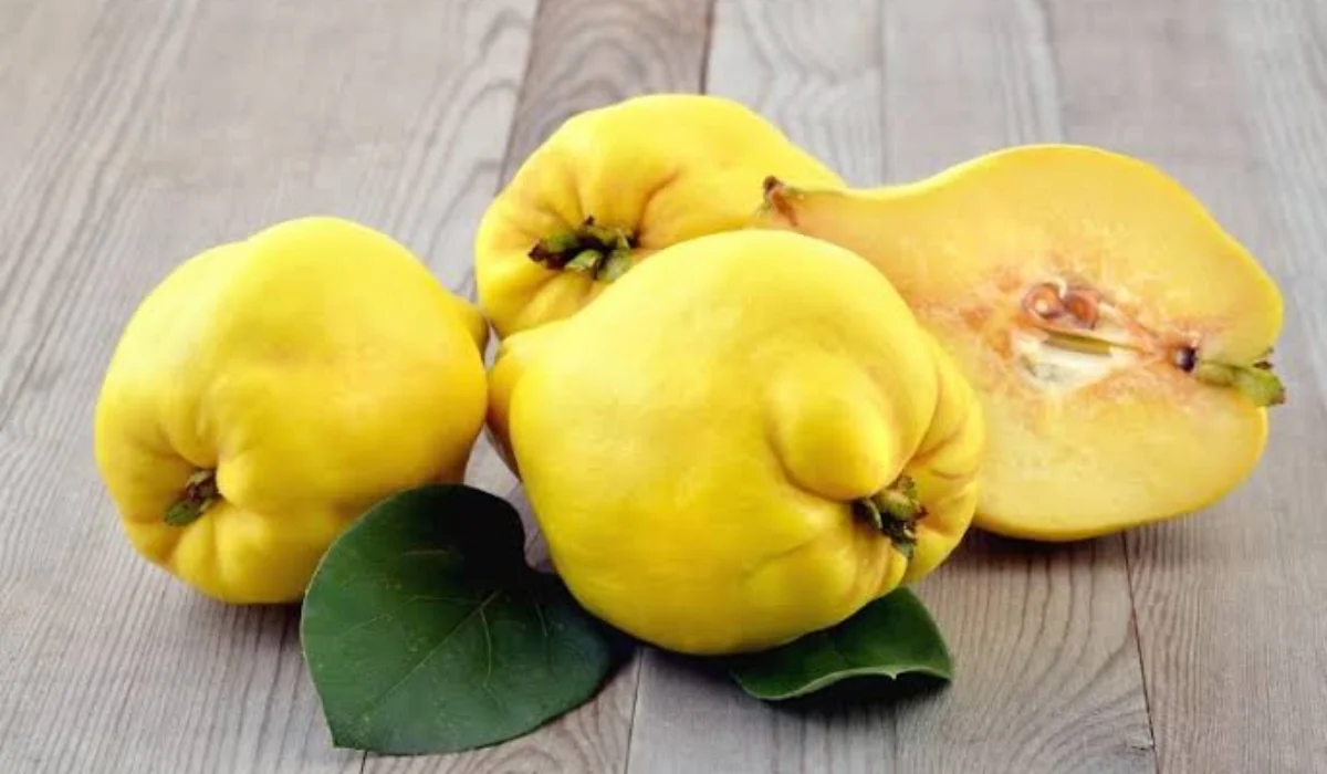 Quince connate Quince connate